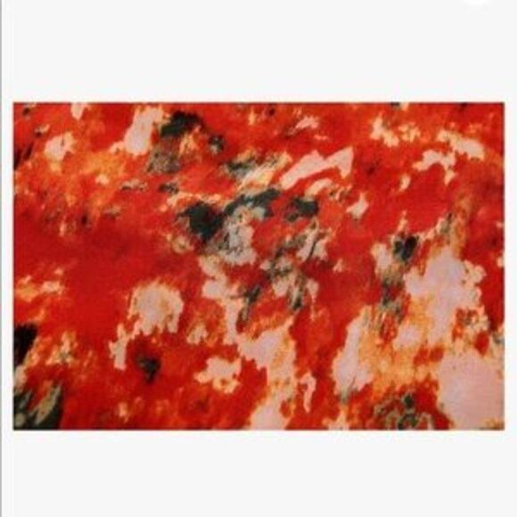 Autumn Fall Lake Floral Blouse Top - Picture 5 of 6